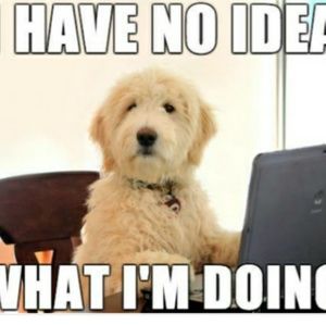 Meet your Posher, Sandra